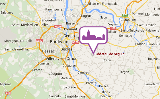 Location château Bordeaux - Gîte de Seguin Bordeaux